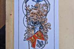 PXL_20220711_131739761.MP_