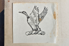 PXL_20220711_131934207.MP_