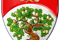 shield RGB Ronnie Watt