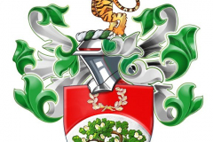 50519992046_afefa4b170_o