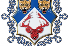 51214717495_289ace4220_o