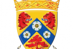 51337071886_4466419b09_o