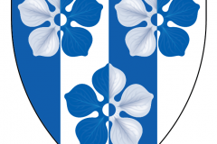 51916499681_a752101b52_o