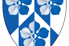 51916595548_4c4f1ddeca_o