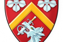 51995306481_f59f288fc9_o