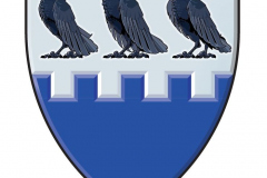 52057590043_8413ff6d53_o