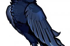 52062324581_9ae7cd9fca_o