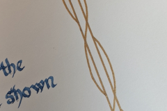 PXL_20220602_121917289