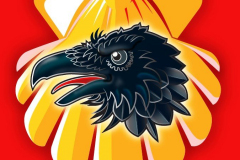 51039288987_a332bcee17_o