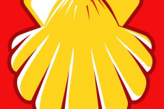 51916605538_733b178899_o