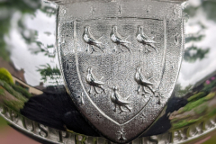 51271819177_6d1e5862a1_o