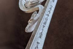 51271819607_f9773463f5_o