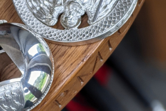 51272746028_7af08b763d_o