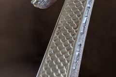 51273297109_d50753a1ec_o