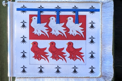 PXL_20210507_182319322.PORTRAIT-2